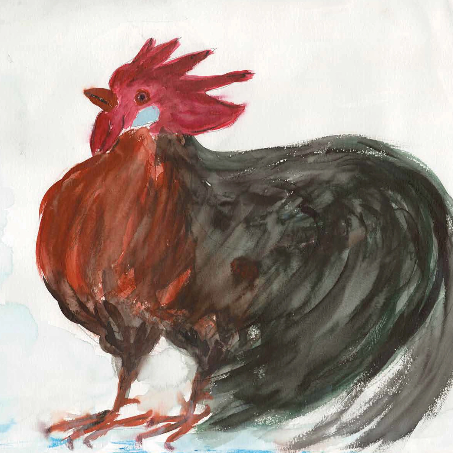 Hühnerbild 11